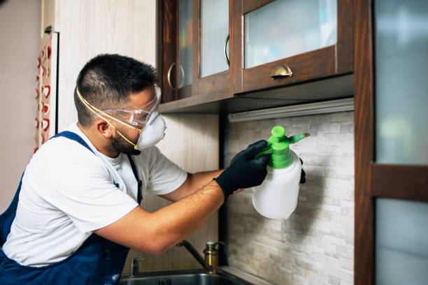 Reliable University Of Virginia, VA Pest Control Solutions