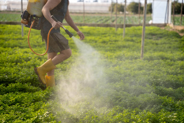Best Commercial Pest Control Services  in University Of Virginia, VA