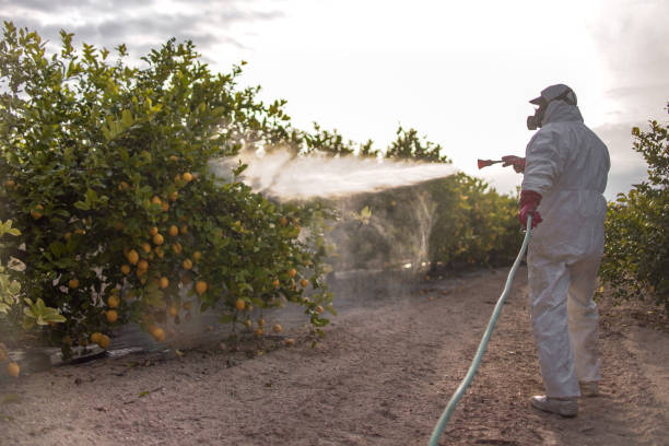 Best Pest Removal Services  in University Of Virginia, VA